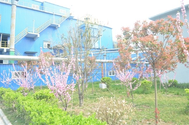 �h��ɰʯ���a��