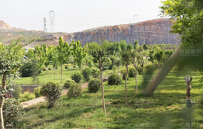 �˽�Vɽ�ޏ�������r